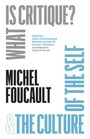 Michel Foucault: "What Is Critique?" and "The Culture of the Self", Buch