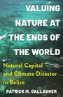 Patrick M. Gallagher: Valuing Nature at the Ends of the World, Buch