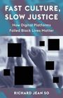 Richard Jean So: Fast Culture, Slow Justice, Buch