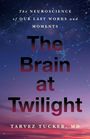 "The Brain at Twilight" von Tarvez Tucker, MD. Oben ein Nachthimmel mit Netzstrukturen, darunter ein violetter Horizont.