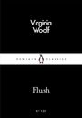 Virginia Woolf: Flush, Buch