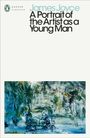 James Joyce: A Portrait of the Artist as a Young Man, Buch