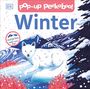 Dk: Pop-up Peekaboo! Winter, Buch