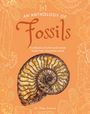 Dean Lomax: An Anthology of Fossils, Buch