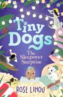 Rose Lihou: Tiny Dogs: The Sleepover Surprise, Buch