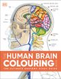 Text: "The Human Brain Colouring Book. The Ultimate Anatomy Study Guide." Illustration: Querschnitt des menschlichen Gehirns.