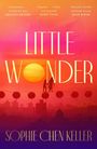 "Little Wonder" von Sophie Chen Keller; Zitate von Amanda Peters, Susie Yang, Jean Kwok; Sonnenuntergang, Lampions, Skyline.