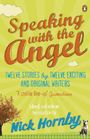 Nick Hornby: Speaking with the Angel, Buch
