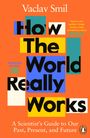 Vaclav Smil: How the World Really Works, Buch