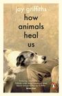 Text: "jay griffiths how animals heal us" und Zitat von Brian Eno. Illustration eines Hundes, der zu jemandem aufsieht.