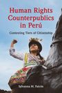 Sylvanna M. Falcon: Human Rights Counterpublics in Peru, Buch