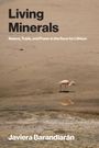 "Living Minerals. Nature, Trade, and Power in the Race for Lithium. Javiera Barandiarán." Ein Flamingo steht im flachen Wasser.