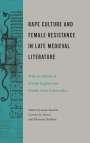 Sarah Baechle: Rape Culture and Female Resistance in Late Medieval Literature, Buch