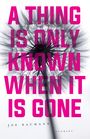 Joe Baumann: A Thing Is Only Known When It Is Gone, Buch