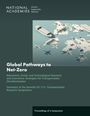 National Academies of Sciences Engineering and Medicine: Global Pathways to Net-Zero, Buch