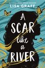 Lisa Graff: A Scar Like a River, Buch