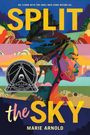 Text: „WE STAND WITH THE ONES WHO CAME BEFORE US. SPLIT the SKY. MARIE ARNOLD“; Illustration eines Profils aus bunten Formen.