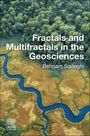 Behnam Sadeghi: Fractals and Multifractals in the Geosciences, Buch
