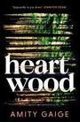 Amity Gaige: Heartwood, Buch