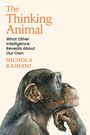 Text: "The Thinking Animal. What Other Intelligence Reveals About Our Own. Nichola Raihani." Illustration eines nachdenklichen Affen.