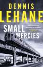 Dennis Lehane: Small Mercies, Buch