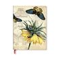 Illustration mit zwei bunten Schmetterlingen über einer gelben Blume, im Hintergrund ein skizziertes Gebäude.