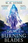 M. H. Ayinde: A Dance of Burning Blades, Buch
