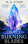M. H. Ayinde: A Dance of Burning Blades, Buch