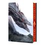 John Gwynne: The Shadow of the Gods, Buch