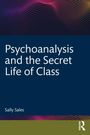 Sally Sales: Psychoanalysis and the Secret Life of Class, Buch