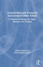 Titel: Incarcerated and Formerly Incarcerated Older Adults. Untertitel: A National Challenge for Policy, Research and Practice. Autoren: Melvin Delgado und Denise Humm-Delgado. Hintergrund in Blau mit abstrakter Kunst.