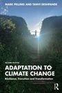 Mark Pelling: Adaptation to Climate Change, Buch