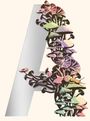 Jeff VanderMeer: Ambergris, Buch