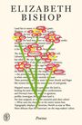 Texte: "ELIZABETH BISHOP", "Poems". Illustration: bunte Blumen über einem Gedicht.