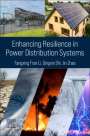 Fangxing Fran Li: Enhancing Resilience in Distribution Systems, Buch