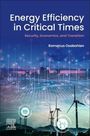 : Energy Efficiency in Critical Times, Buch