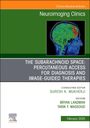 : The Subarachnoid Space: Percutaneous Access for Diagnosis and Image-Guided Therapies, an Issue of Neuroimaging Clinics of North America, Buch