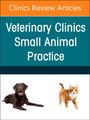 : Update on Diagnosis and Treatment of Brain Tumors in Dogs and Cats, an Issue of Veterinary Clinics of North America: Small Animal Practice, Buch