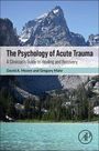 „The Psychology of Acute Trauma: A Clinician’s Guide to Healing and Recovery“ von David A. Moore und Gregory Mahr. Berglandschaft im Hintergrund.