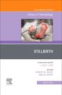 Stilbirth, an Issue of Clinics in Perinatology, Buch