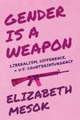 „GENDER IS A WEAPON“, „LIBERALISM, DIFFERENCE, + U.S. COUNTERINSURGENCY“. Eine pinke Waffe auf rosa Hintergrund.