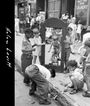 Anne Bertrand: Helen Levitt, Buch