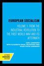 Carl Landauer: European Socialism, Volume I, Buch
