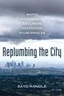 Sayd Randle: Replumbing the City, Buch