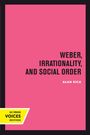 Alan Sica: Weber, Irrationality, and Social Order, Buch