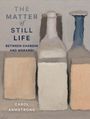 Carol Armstrong: The Matter of Still Life, Buch