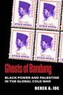 „Ghosts of Bandung: Black Power and Palestine in the Global Cold War“ von Derek A. Ide. Briefmarken mit indonesischem Motiv.
