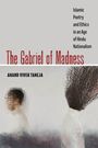 Anand Vivek Taneja: The Gabriel of Madness, Buch