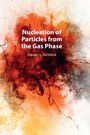Steven L. Girshick: Nucleation of Particles from the Gas Phase, Buch