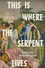 Daniyal Mueenuddin: This Is Where the Serpent Lives, Buch